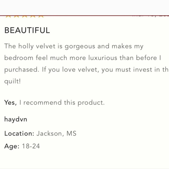 NWT Anthropologie Velvet Emery Quilt Twin size - Picture 6 of 9